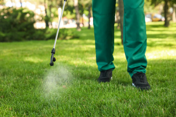 Best Affordable Pest Control Services  in Tazewell, TN
