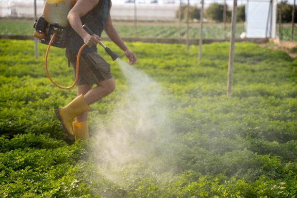 Pest Control Cost in Tazewell, TN