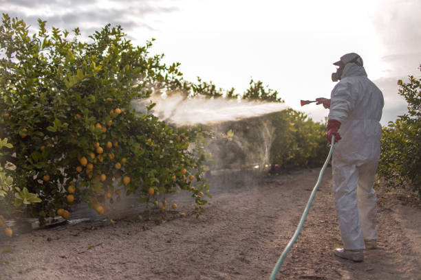 Best Cockroach Control Services  in Tazewell, TN