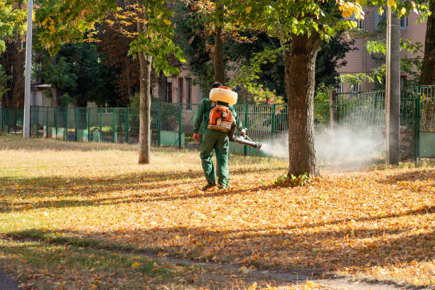 Best Pest Prevention Services  in Tazewell, TN